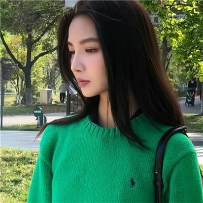 没人瞭波斯猫